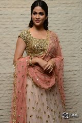 Lavanya Tripathi At Vunnadhi Okate Zindagi Movie Pre Release Function